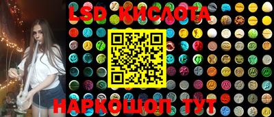 spice Новозыбков