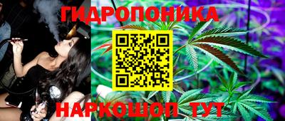 гидропоника Новодвинск