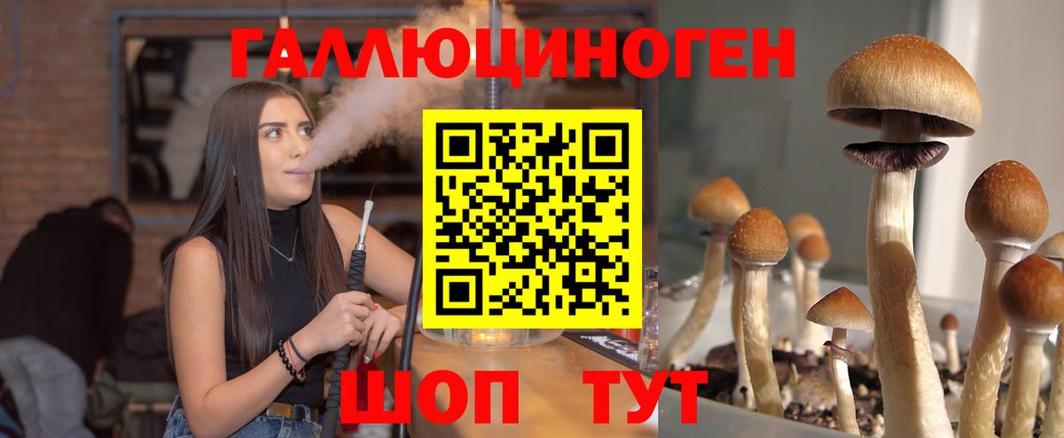 Псилоцибиновые грибы Magic Shrooms Сланцы